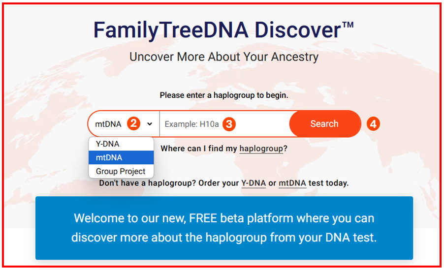mtDNA Discover Landing Page w numbers.png