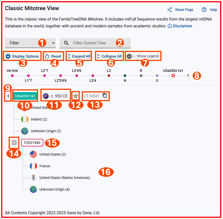 Classic Mitotree View main page w numbers.png