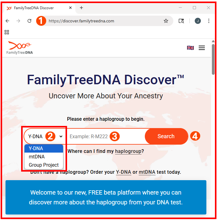 Accessing Y-DNA Discover - public page w lines.png