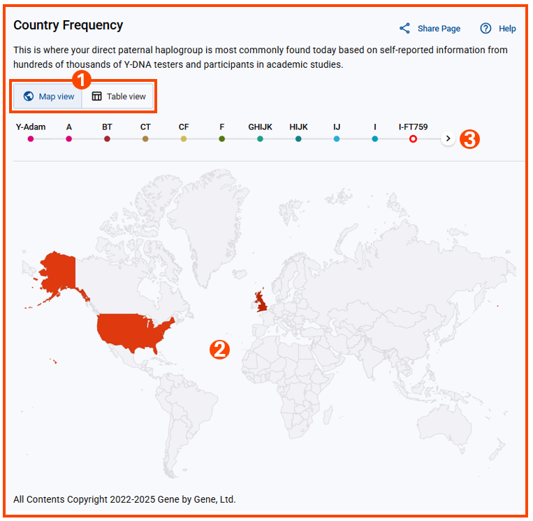 Y-DNA Discover™ Country Frequency Report - Map View w numbers.png