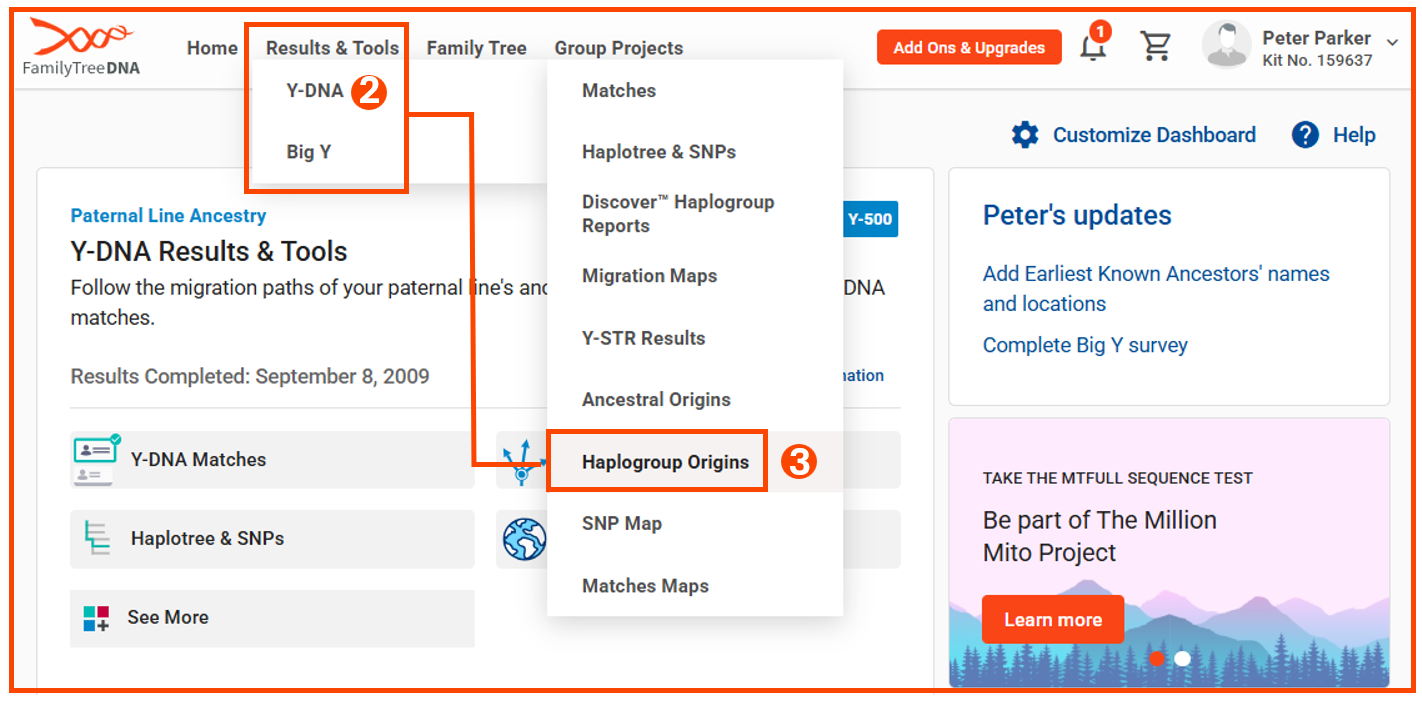 Accessing Haplogroup Origins - drop down menu w lines.png
