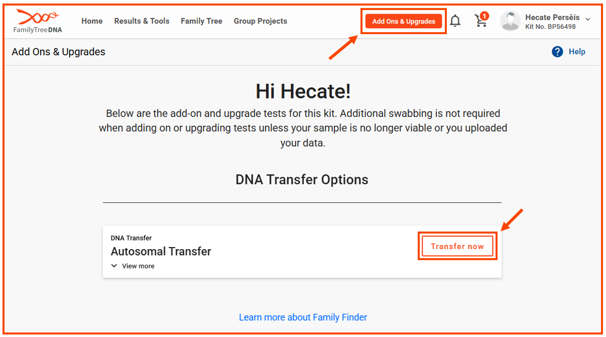 Add-ons and Upgrades landing page w lines.png
