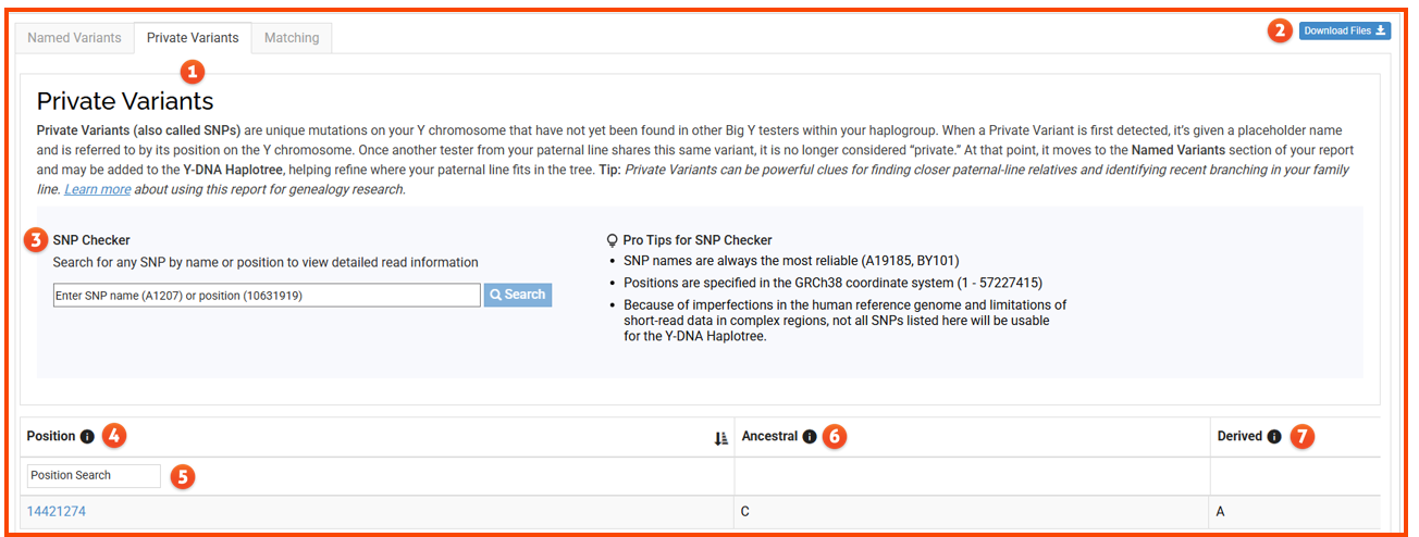 Big Y Private Variants w numbers.png