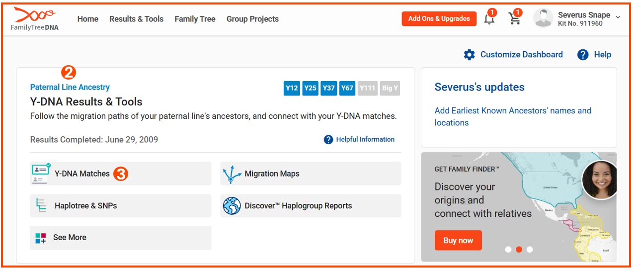 Y DNA Matches dashboard w numbers.png
