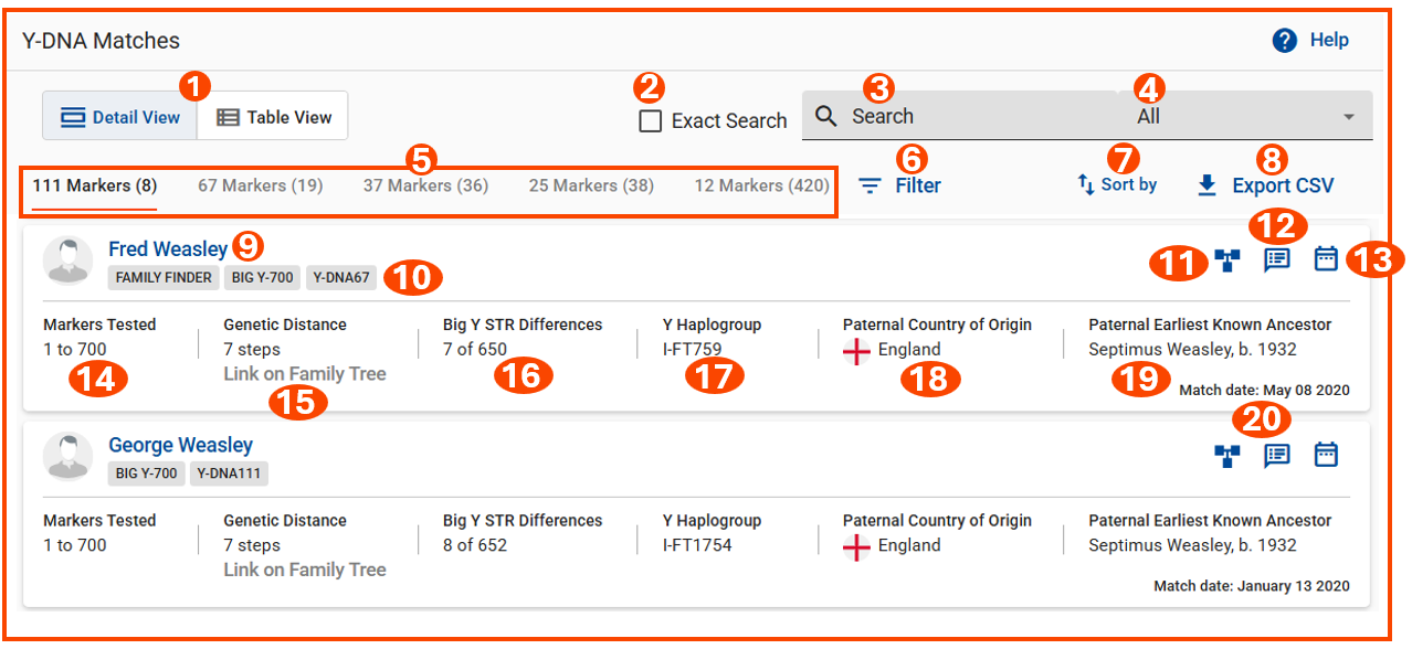 Y-DNA STR Matches w Numbers.png