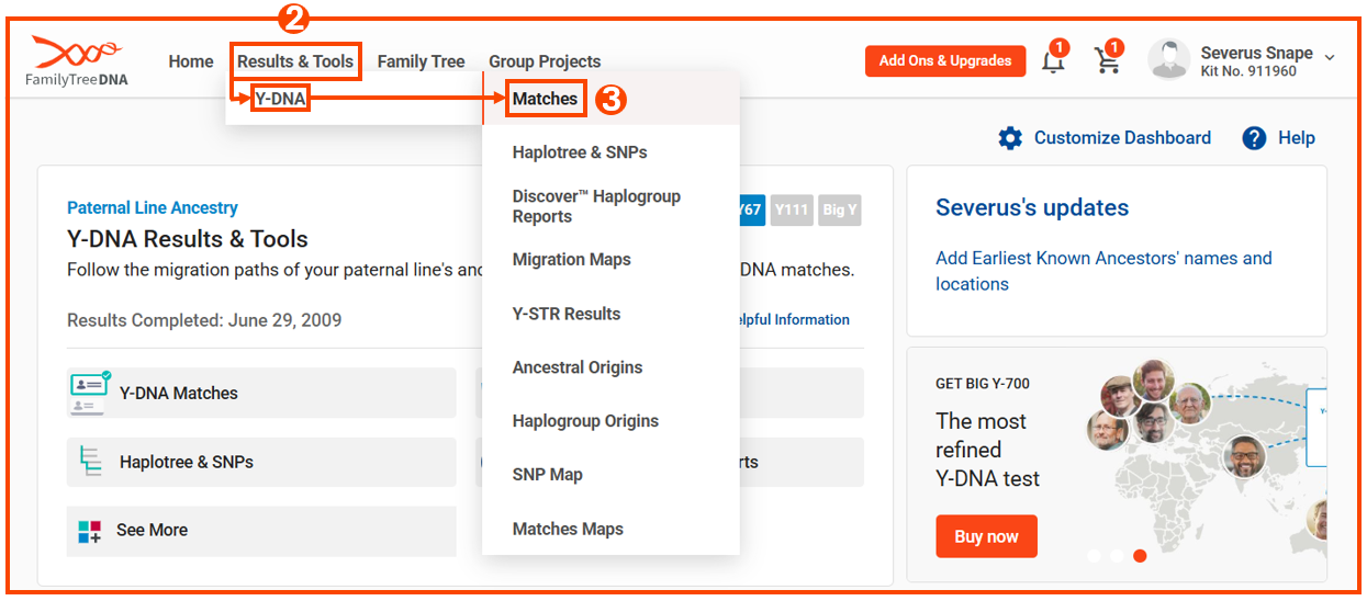 Y DNA Matches Dashbord dropdown w numbers.png