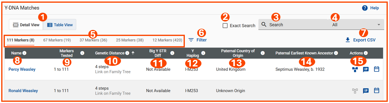 Y-DNA Matches - Table View w numbers.png