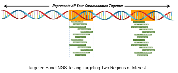 DNA Testing Technologies - Targeted Panel NGS Testing Targeting Two Regions of Interest.png