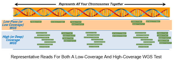 Representative Reads For Both A Low-Coverage And High-Coverage WGS Test.png