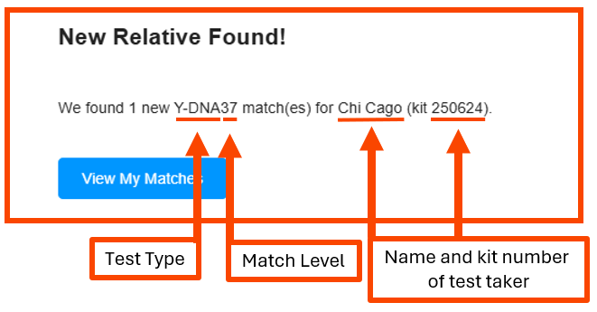 How Do I find My New Y-DNA Matches email notification w lines.png