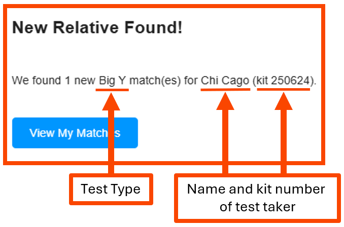 How do I find my new Big Y matches email notification w lines.png