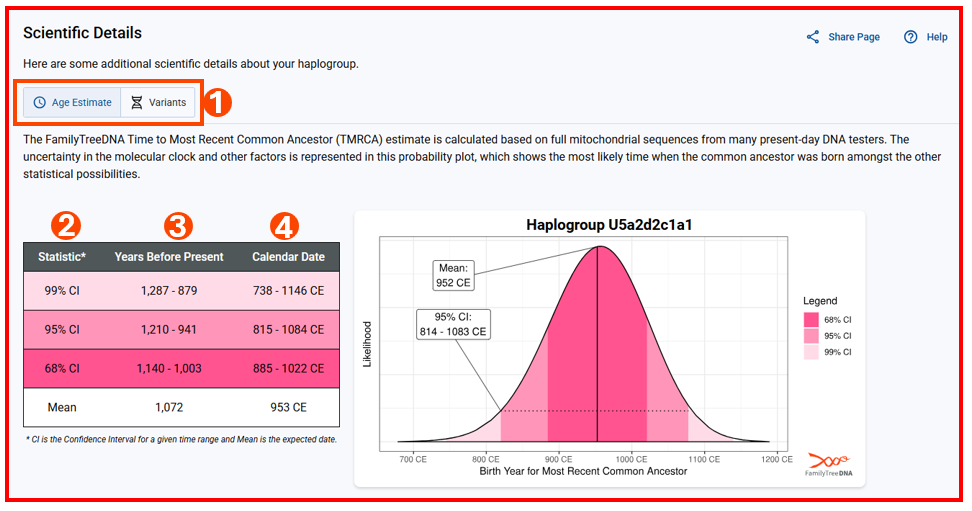 Scientific Details main page - Age Estimate w numbers.png