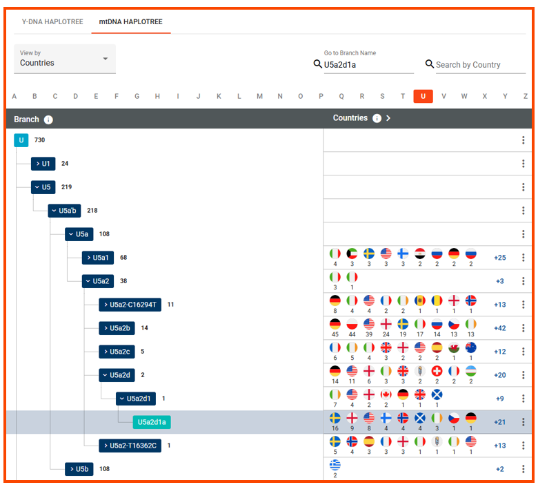 Classic mtDNA haplotree w lines.png