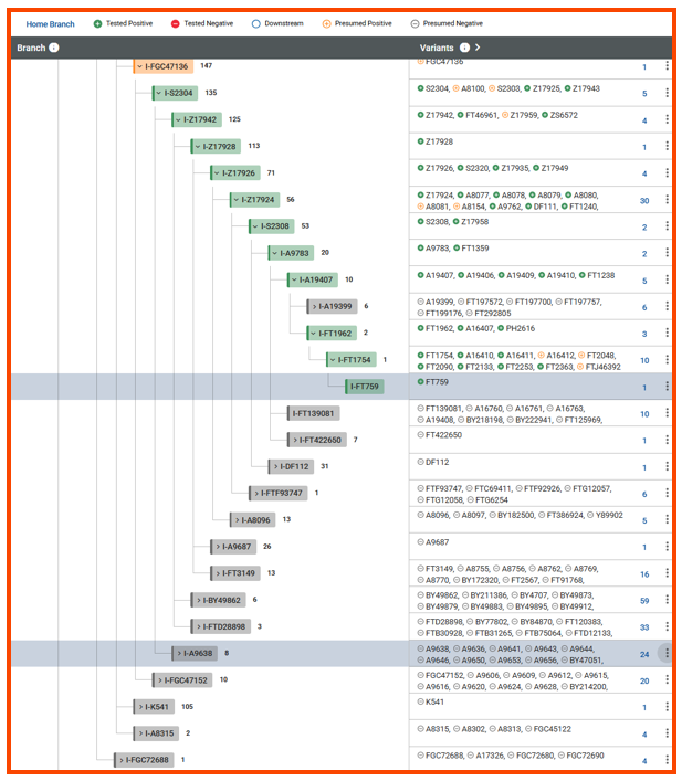 Classic Y-DNA Haplotree landing w lines.png