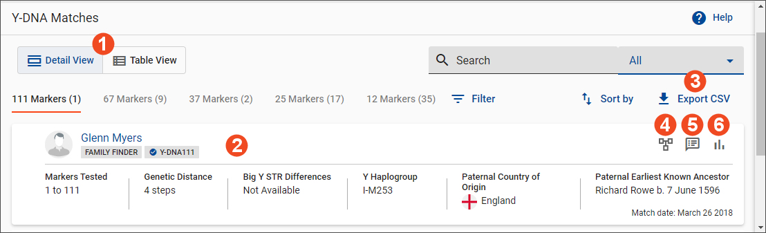 Y-DNA_Matches_overview.jpg