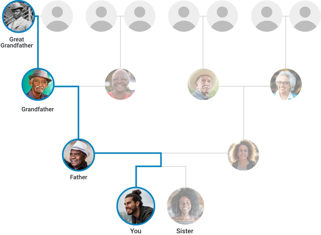 How much do Y chromosome haplogroups shape our views of modern