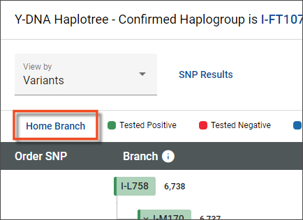 haplotree_SNPs_Homebranch.jpg