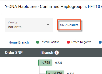 haplotree_SNPs_SNP_Results.jpg